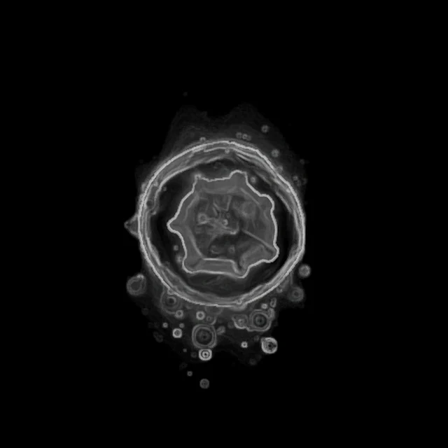 BioMagBoost