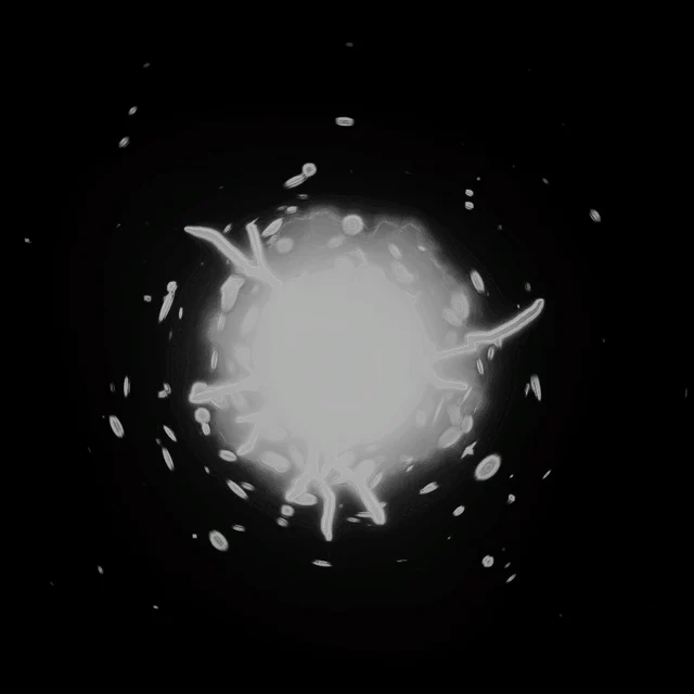 Electric Jumper