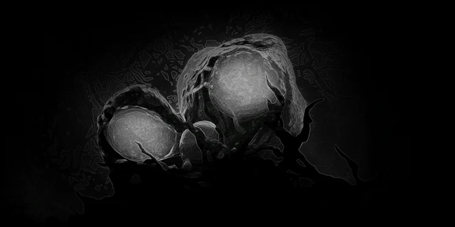 Fungal Bioplasm Pocket