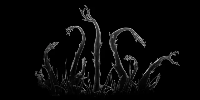 Caustic Creeper
