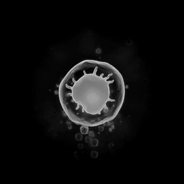 ProtoCannonBoost