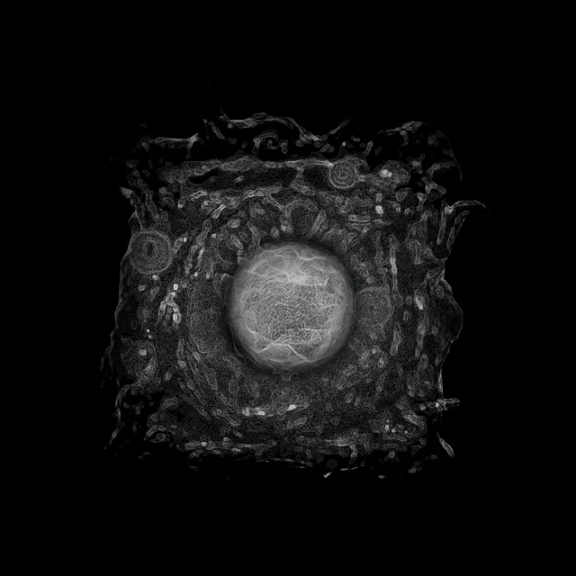ProtopulseBlockage