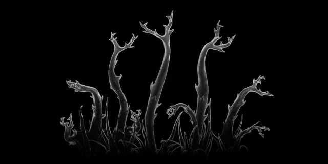 Blight Creeper